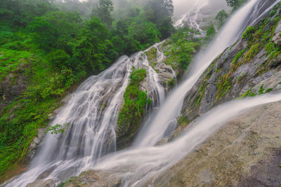 Scenic view of waterfall in forest