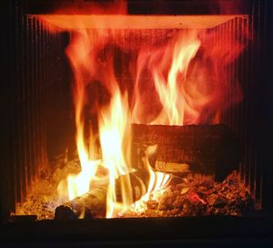 Close-up of bonfire at night