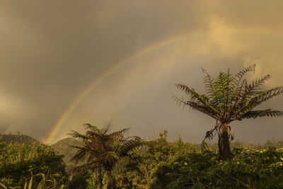 Scenic view of rainbow against sky