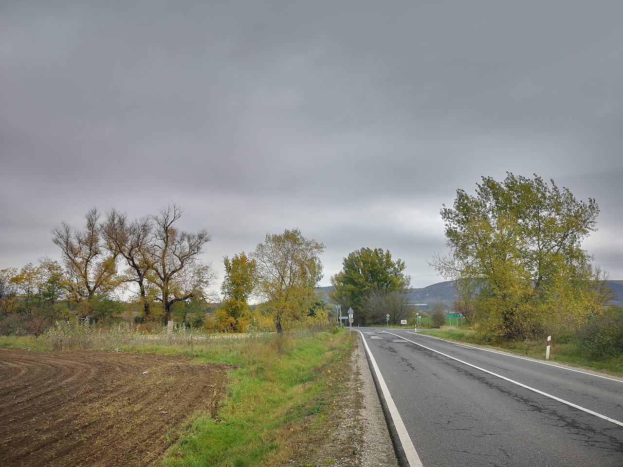 EMPTY ROAD ALONG TREES AND PLANTS AGAINST SKY