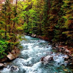 Scenic view of river flowing through rocks