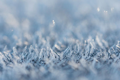 Close-up of snowflakes