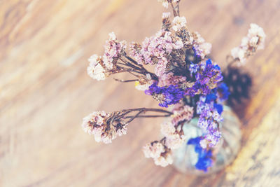 Close-up of purple flowering plant