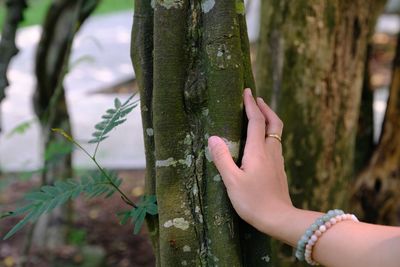 Midsection of person against tree trunk