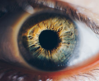 Close-up of human eye