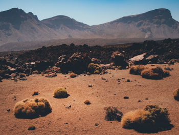 Scenic view of landscape and mountains against sky