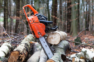 Chainsaw on logs in forest