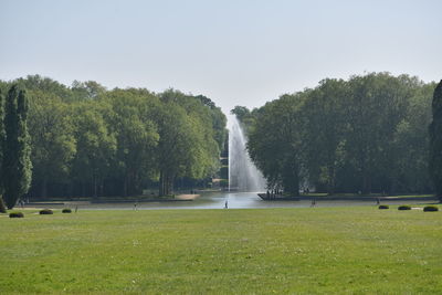 View of trees on sunny day