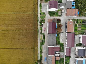 High angle view of agricultural field