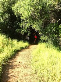 Rear view of person walking on footpath