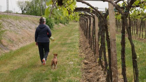 Rear view of woman with dog walking on field