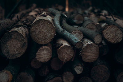 Stack of logs