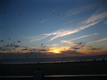 Silhouette birds flying over sea against sky during sunset