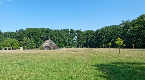 Wilseder berg im naturpark lüneburger heide