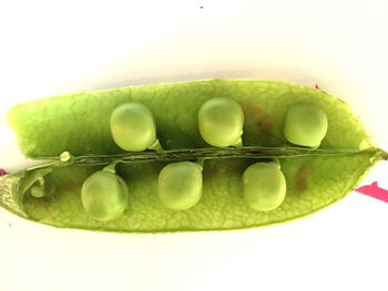 Close-up of green eggs in container