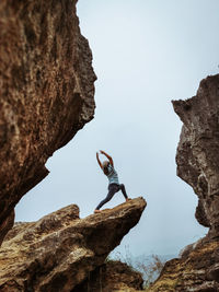 Low angle view of bird perching on rock