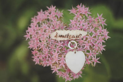 Directly above shot of heart shape decoration with text on pink flowers