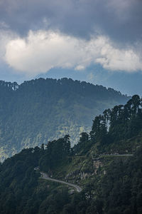 nature