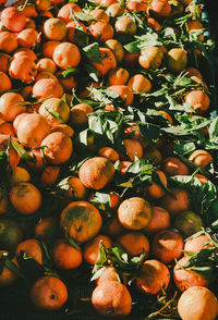 Full frame shot of citrus fruits