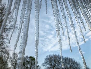 Low angle view of icicles on landscape against sky