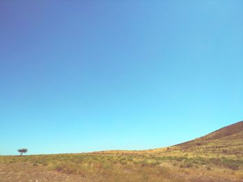 Scenic view of landscape against clear blue sky