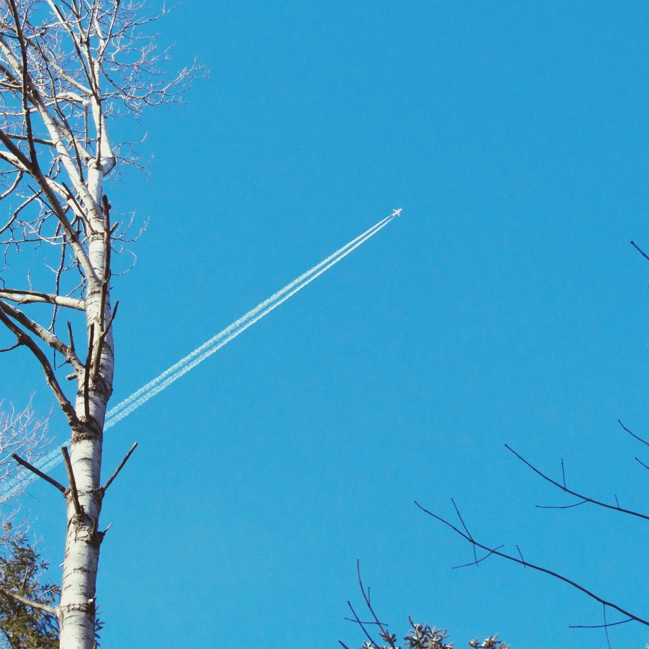 LOW ANGLE VIEW OF VAPOR TRAILS IN SKY