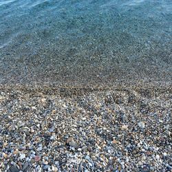 Pebbles in sea
