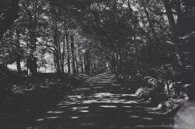 Road passing through forest