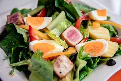 Close-up of salad served in plate
