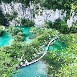 High angle view of rocks amidst trees