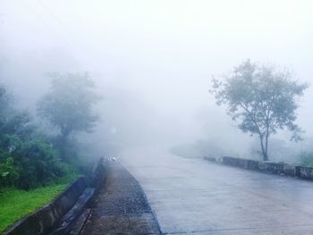 Road amidst trees against sky during foggy weather