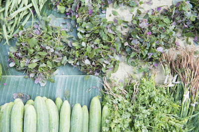 Full frame of leafy vegetables for sale