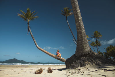 Man and palm tree on beach against sky