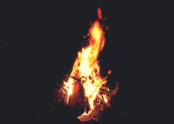 Bonfire at night