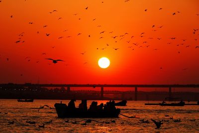 Silhouette birds flying over sea against orange sky and people enjoying boating