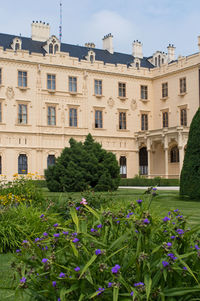 View of flowering plants in garden against buildings