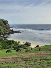 Scenic view of sea against sky