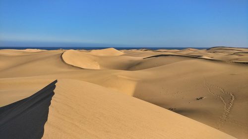 Sand dunes in a desert