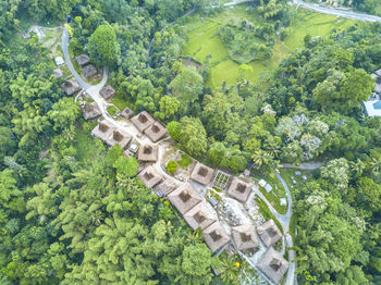 High angle view of houses by trees on landscape