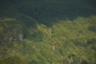 High angle view of green landscape