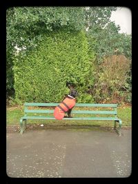 Park bench in park