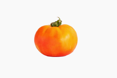 Close-up of orange fruit against white background