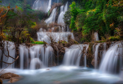 View of waterfall in forest