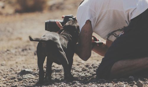 Man photographing while kneeling by dog on land