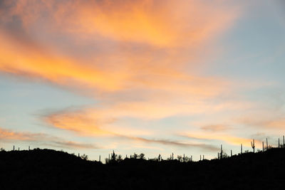 Low angle view of silhouette trees against sky during sunset