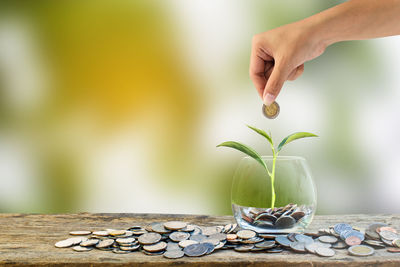 Close-up of hand putting coins in jar with plant on table