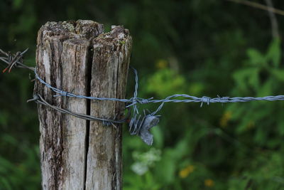 Close-up of barbed wire on wooden post