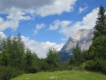 Scenic view of trees and mountains against sky