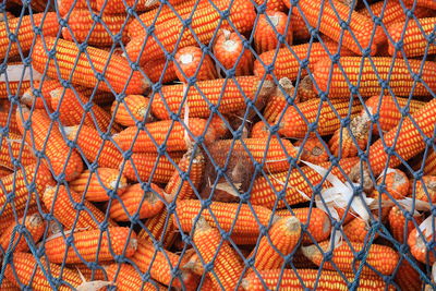 Full frame shot of fishing net