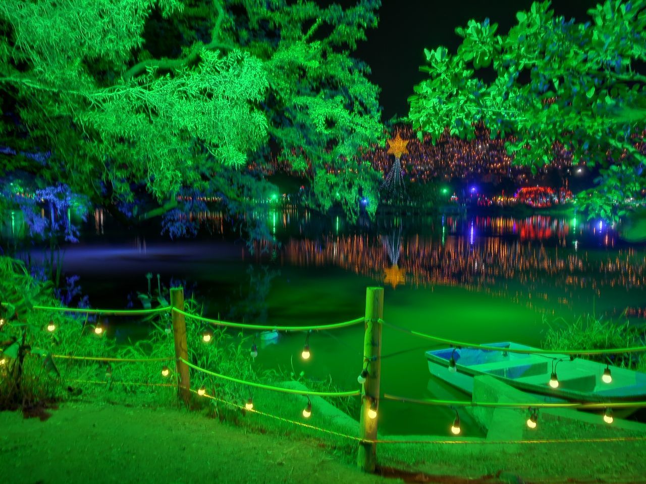 green color, tree, reflection, illuminated, water, night, no people, grass, outdoors, nature, growth, beauty in nature, sky